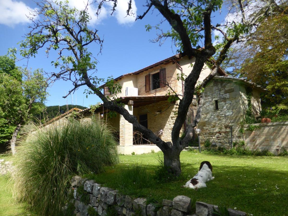 Country House La Casa Paterna Monte Santa Maria Tiberina Exterior photo